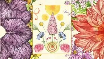 Illustration av blommor och växter