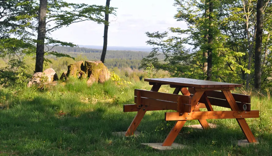 Bänk med bord står vid utsiktsplats i skogen