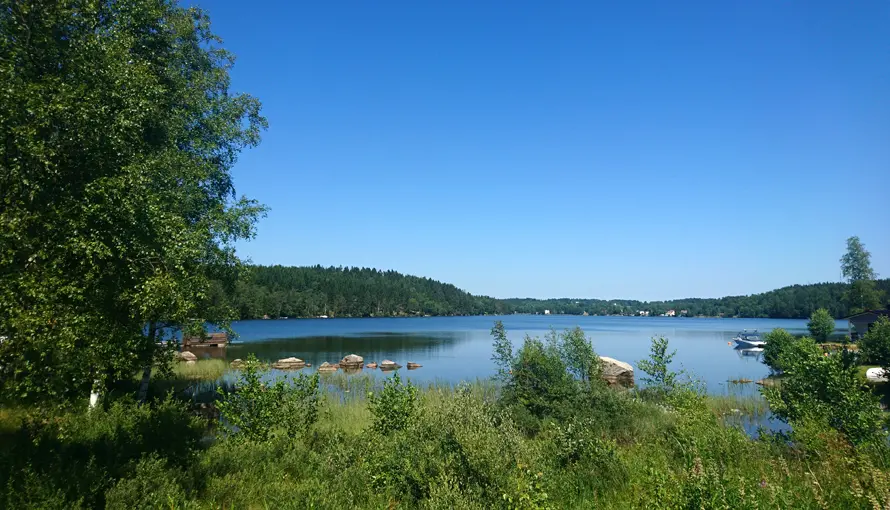 Utsikt över Dalsjön en lummig sommardag