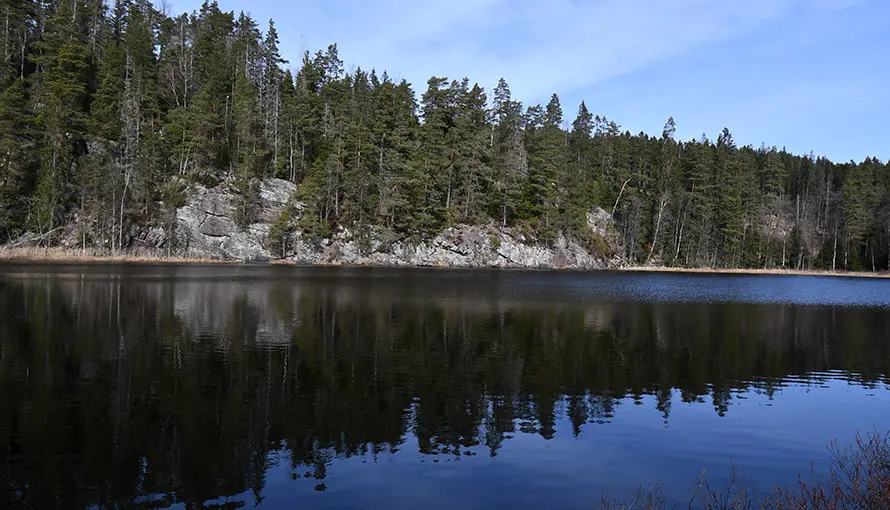 Utsikt över spegelblank sjö och skog