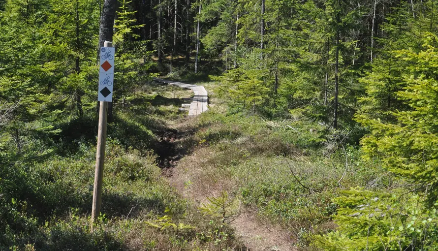 MTB-led i skogen med skylt som står bredvid stig med spåruppmärkning