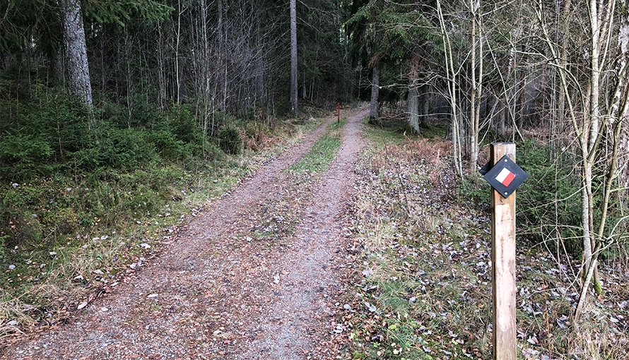 En promenadstig som leder in i tät skog. I förgrunden står en vandringsledsmarkering i rödvitt