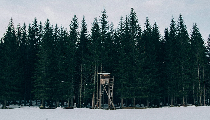 Ett jakttorn som står ute på ett snöigt fält. Bakom det finns en granskog.
