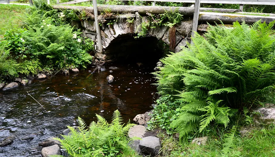 Bäck som rinner under bro med stora ormbunkar bredvid