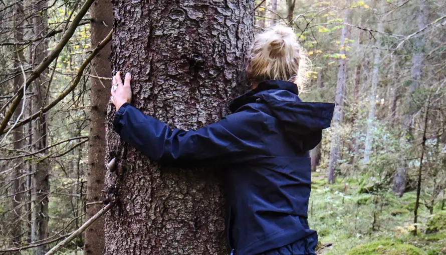 Bild på person bakifrån som står o kramar ett träd