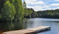Brygga vid sjö som är omringad av skog