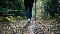 Ben som går på stock i skog