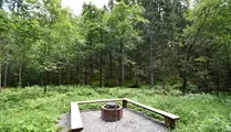 Grillplats i skogen med träbänkar intill