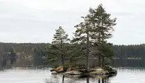 Bosjön utanför Borås