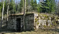 Gammal källarruin gjord av sten står i skog