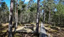 Träspång med bänkar i skog