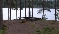 Grillplats i skog precis vid sjö