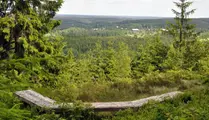Utsikt över skog från Molla