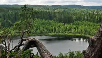 Utsikt över sjö och skog längs med led i Bredared