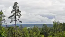 Utsikt från vandringsled Knektås