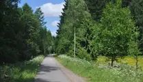 Banvallen, asfalterad cykelväg som går längs skog