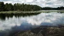 Spegelblank sjö med skog som omringar