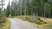 Bred grusväg går längs skog och stenmur