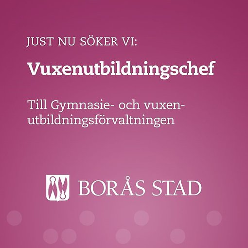 Grafisk bild som har texten Nu söker Borås stad ny vuxenutbildningschef